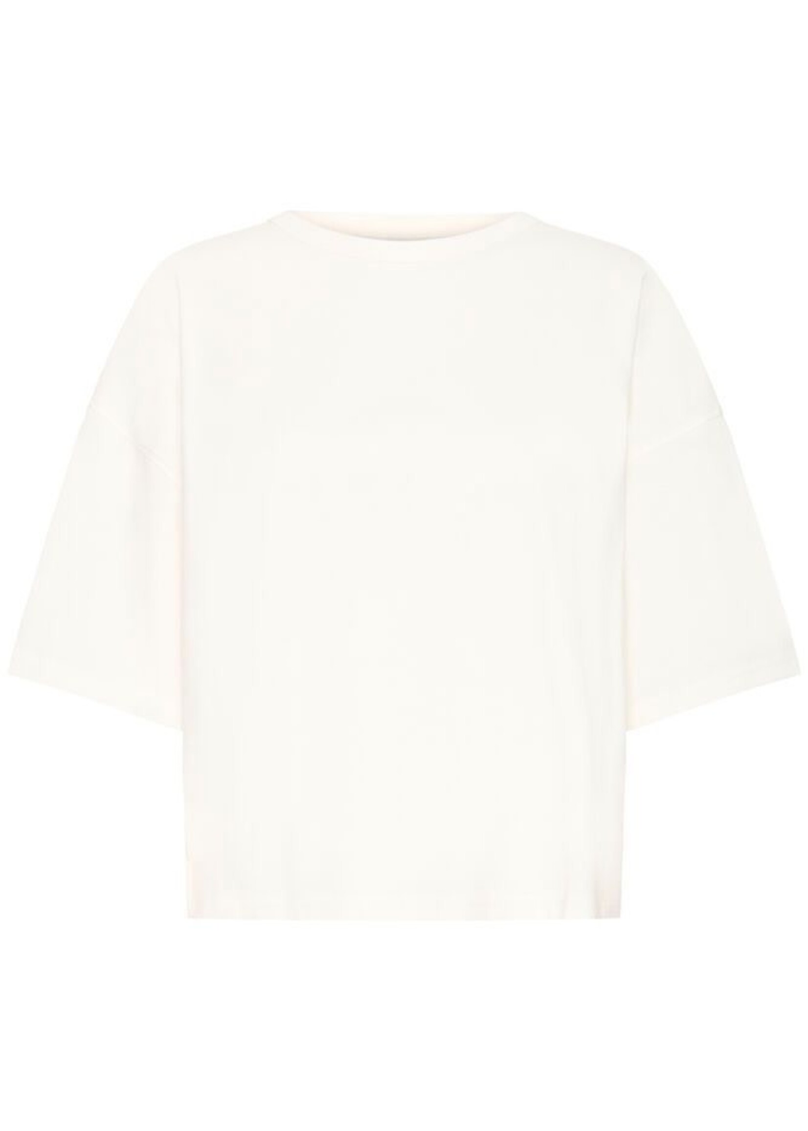 ICHI Ihpalmer t-shirt EX loose fit wit