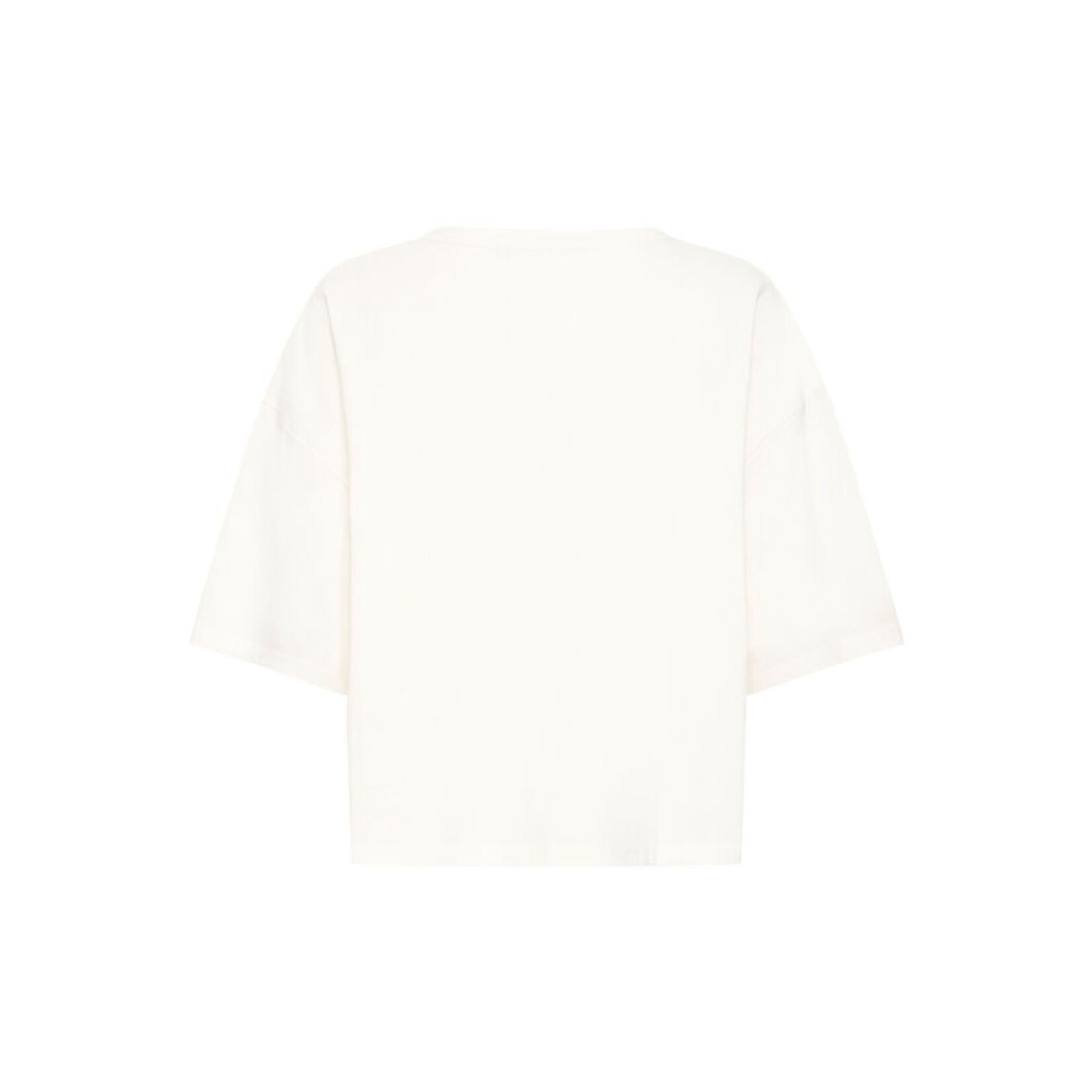 ICHI Ihpalmer t-shirt EX loose fit wit