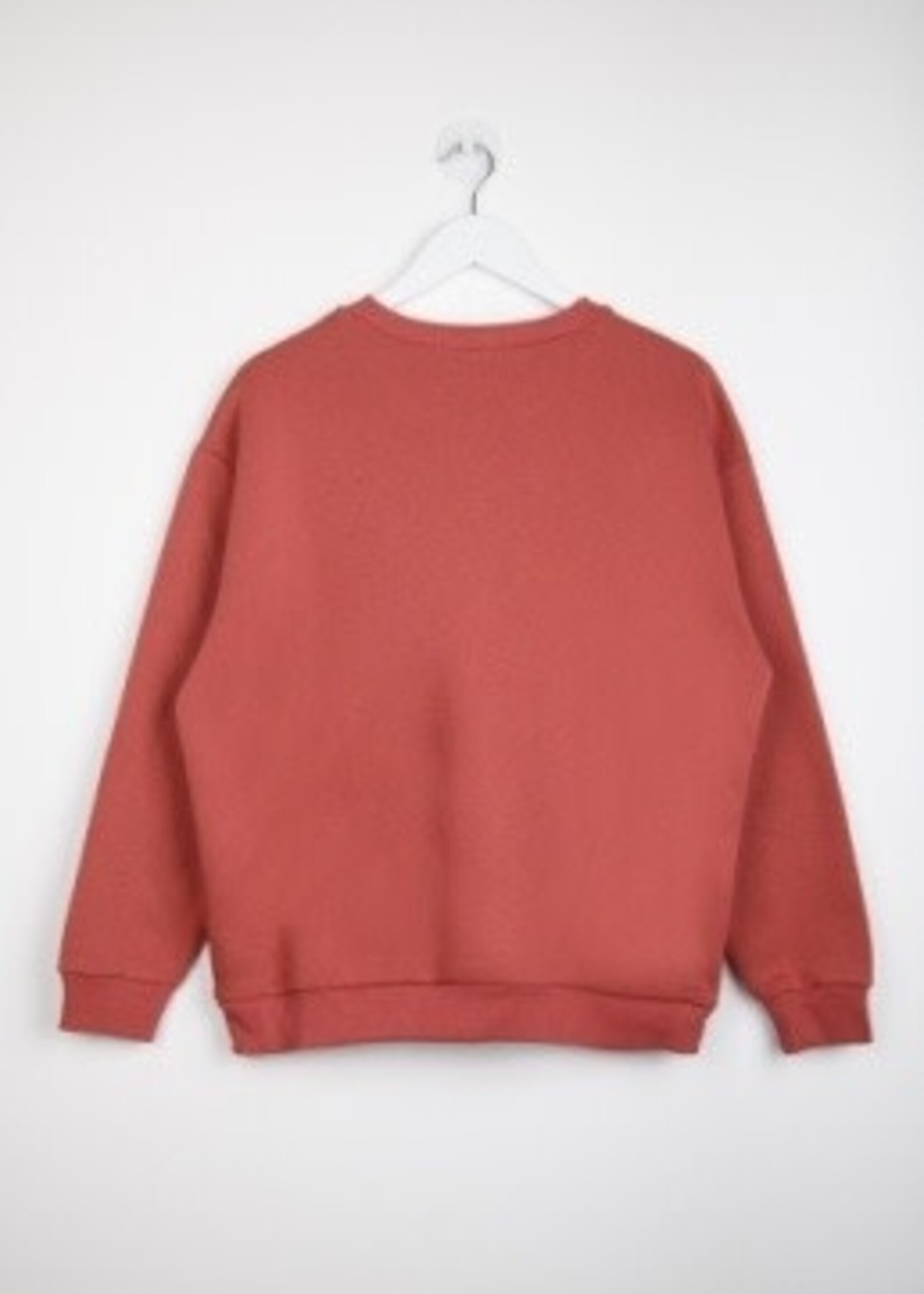 24Colours 24Colours sweater Rosie roest