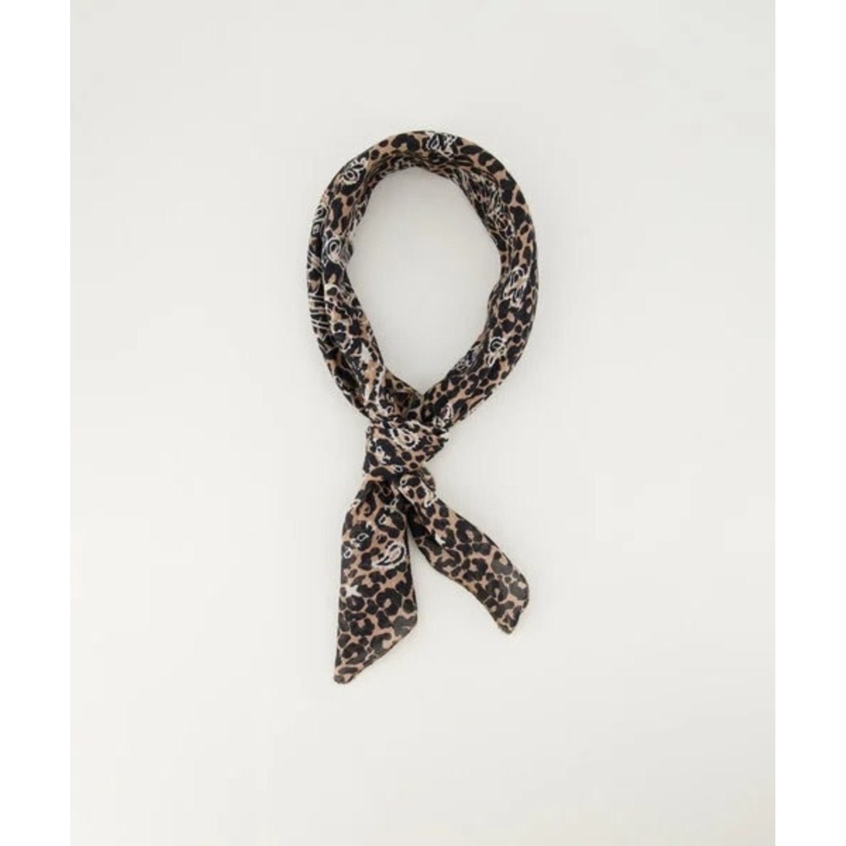 Sjaaltje Astrid leopard