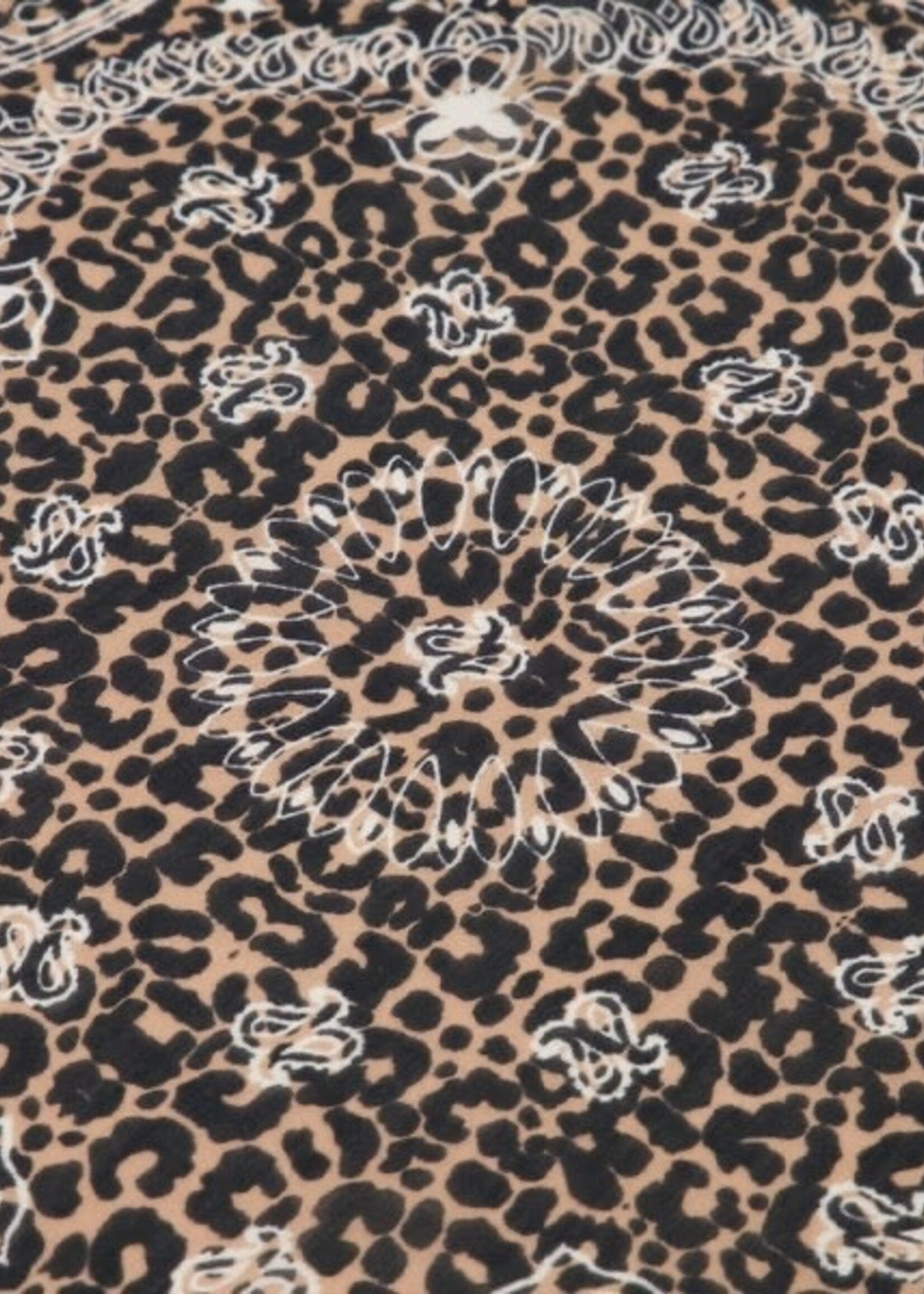 Sjaaltje Astrid leopard