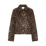 ICHI Ihwoola jasje leopard