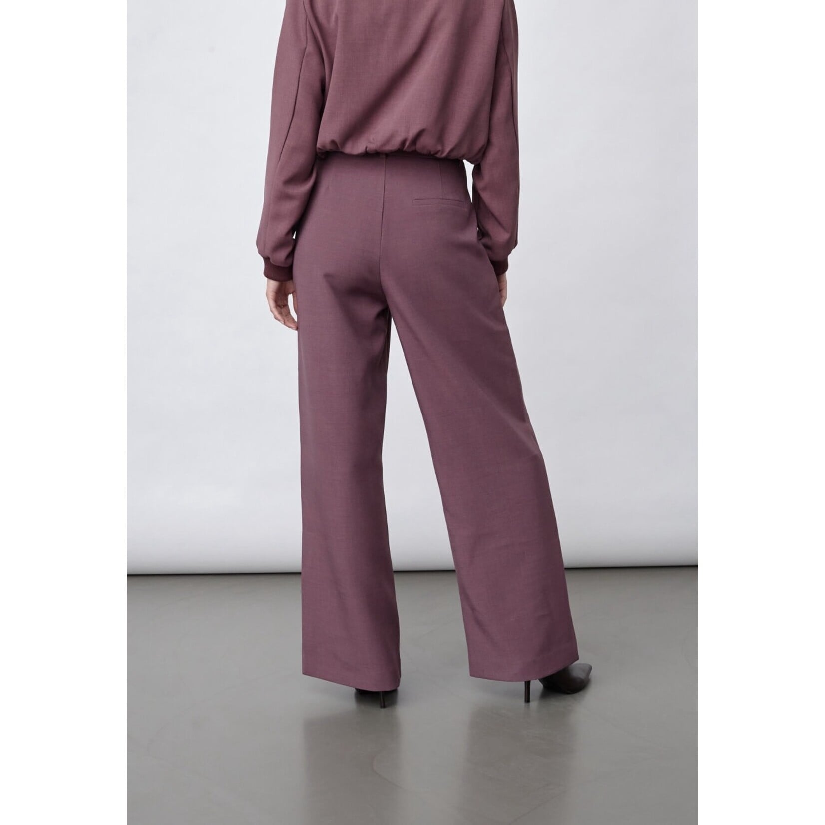 Sisters Point pantalon Great Berry