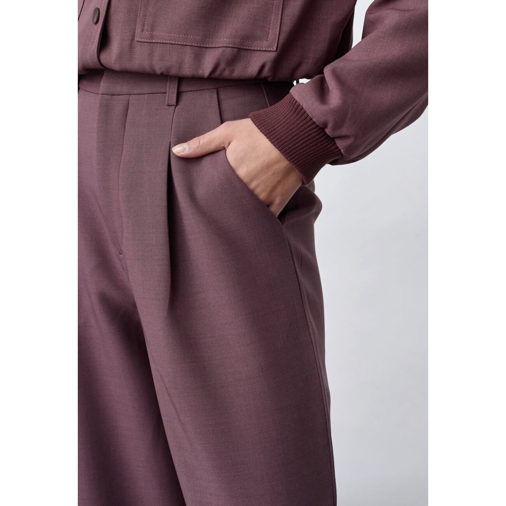 Sisters Point pantalon Great Berry