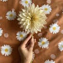 Covers & Co Oopsie Diasy Dekbedovertrek Hazel 200x200x220