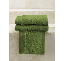 De Witte Lietaer gastendoek Excellence 40x60 cactus