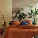 At Home by Beddinghouse At Home by BeddingHouse Cosy Corduroy Dekbedovertrek  Terra 200 x 200/220 cm