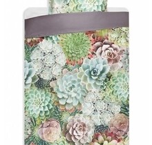 Vandyck Dekbedovertrek Succulent Plants multi 140x220