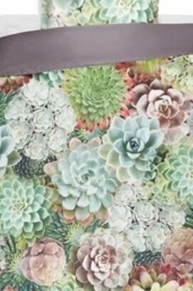 Vandyck Dekbedovertrek Succulent Plants multi 140x220