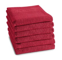 DDDDD keukendoek logo 50x55cm red