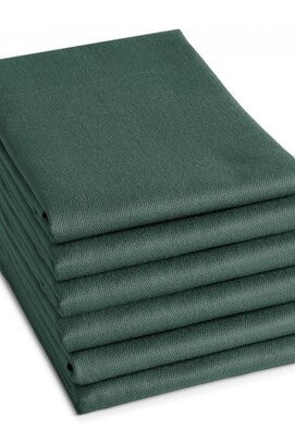 DDDDD Theedoek Logo 60x65 Green