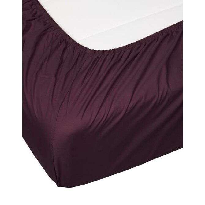 Essenza Minte hoeslaken 80x200 Burgundy