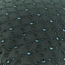 KAAT Amsterdam KAAT Amsterdam Sierkussen Chelsy - Green 40x40 cm