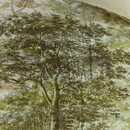 Beddinghouse Beddinghouse Arcadia  Dekbedovertrek  Green 240x200/220 cm