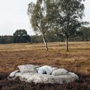 Essenza Essenza Ophelia  Dekbedovertrek 240x200/220 Hazy Blue