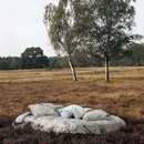 Essenza Essenza Ophelia  Dekbedovertrek 260x200/220 Hazy Blue