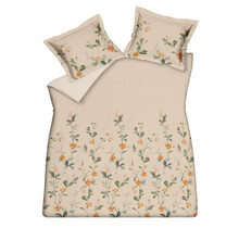 Vandyck Untouched  Apricot Blush Kussensloop (60x70)