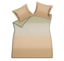 Vandyck Gradient  Apricot Blush Kussensloop (60x70)