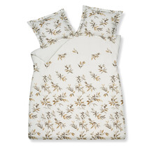 Vandyck Happy  Latte Kussensloop (60x70)