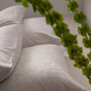 Vandyck Vandyck Purity Lucca  Offwhite Kussensloop (60x70)