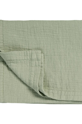 Vandyck Pure 68 G.Dyed  Smoke Green Plaid 160x250