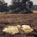 Essenza Essenza Minte Dekbedovertrek 2p  200x220 Yellow straw