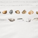 Marjolein Bastin Marjolein Bastin Dekbedovertrek Shellfish White 240x200/220