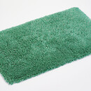 Abyss  Abyss & Habidecor Shag Tp  70x140 230 Emerald