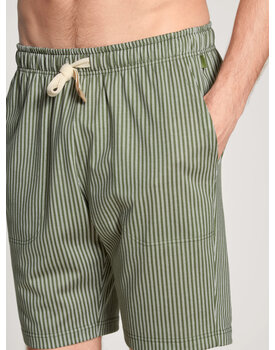 Calida Men Shorts 27681 Clover Green