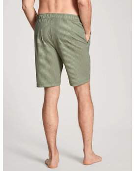 Calida Men Shorts 27681 Clover Green