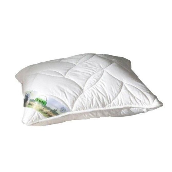 Texeler Soezzz Perfection Kussen 60x70 Texeler Soezzz Perfection Kussen 60x70