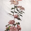 Essenza Essenza Dorena Dekbedovertrek White 240x200/220