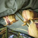 Essenza Essenza Ficaria Dekbedovertrek Greenish 140x200/220