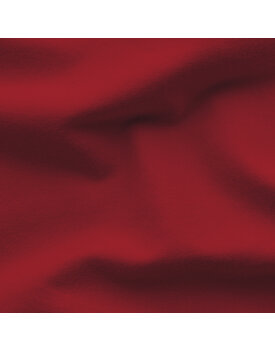 Schlafgut EASY Jersey Elasthan Hoeslaken XL - 180x200 - 200x220 285 Red Deep