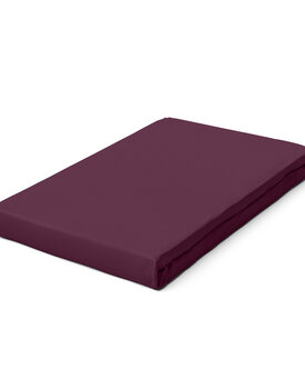 Schlafgut Pure Jersey Hoeslaken L - 140x200 - 160x220 542 Purple Deep