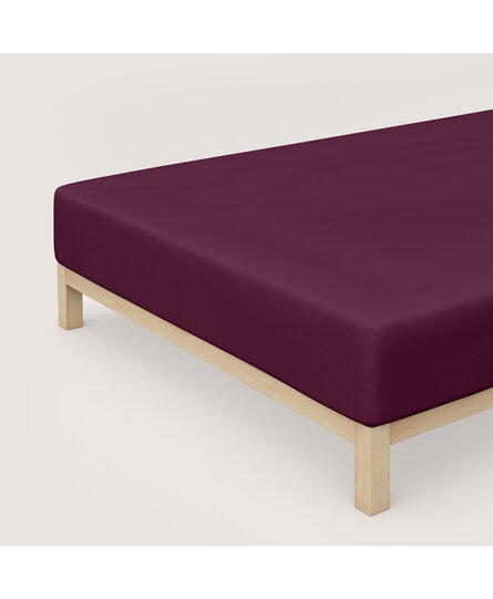 Schlafgut Pure Jersey Boxspring Hoeslaken M - 120x200 - 130x220 542 Purple Deep