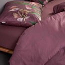 Essenza Essenza Eloise Dekbedovertrek Mauve 240x200/220