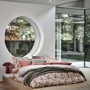 Vandyck Vandyck Pure 84 Lits-jumeaux (240x200/220) rose dawn