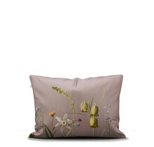 Essenza Ficaria Kussensloop 60x70 Woodrose