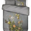 Essenza Essenza Ficaria Dekbedovertrek 140x200/220 Grey