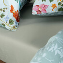 Essenza Essenza Marigold Kussensloop 60x70 Pastel blue