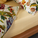 Essenza Essenza Roselina Dekbedovertrek 260x200/220 Vanilla