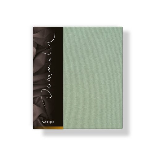 Dommelin Dommelin Kussensloop Uni Satijn 300TC 551 Spargroen 60x70 afbeelding