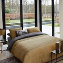 Beddinghouse Beddinghouse dekbedovertrek Camaro goud 240x200/220