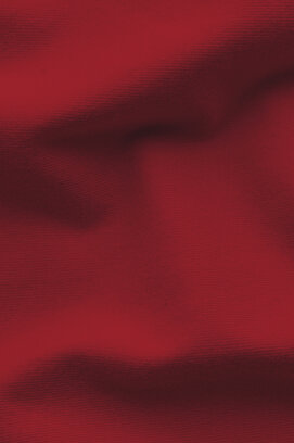 Schlafgut EASY Jersey Elasthan Hoeslaken S - 90x190 - 100x220 285 Red Deep