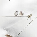 Marjolein Bastin Marjolein Bastin Gathering dekbedovertrek 200x200/220 Naturel