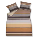 Vandyck Vandyck Terra Nova kussensloop 60x70 Multi