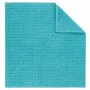 Cawö Pro Keukendoek 50x50 türkis