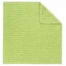 Cawö Pro Keukendoek 50x50 pistazie