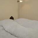 Marc O'Polo Marc O'Polo Thore Dekbedovertrek Grey mist 240x200/220